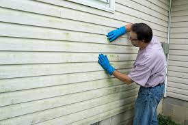 Best Siding Painting and Refinishing  in North Scituate, MA